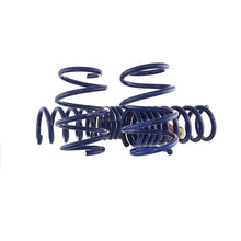 Load image into Gallery viewer, Ford Racing 15-22 Mustang Track Lowering Spring Kit M-5300-YA