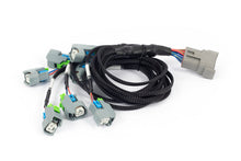 Load image into Gallery viewer, Haltech NEXUS Rebel LS EV6 Injector Sub-Harness