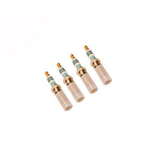 Load image into Gallery viewer, Ford Performance Parts Ford Racing FRPP Cold Spark Plug Set 2.0L Ecoboost