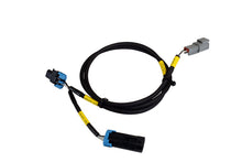 Load image into Gallery viewer, AEM Electronics CD-7/CD-7L Plug &amp; Play Adapter Harness For Holley EFI