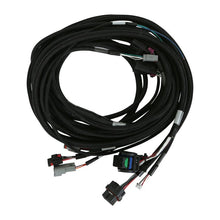 Load image into Gallery viewer, AEM VCU Universal LV Rear Harness