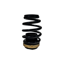 Load image into Gallery viewer, BLOX Racing 12-13 Honda Civic SI Plus Series Fully Adjustable Coilovers BXSS-00120