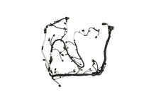 Load image into Gallery viewer, Ford Performance Parts Ford Racing 5.0L Coyote Engine Harness for Automatic Transmission
