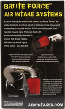 Load image into Gallery viewer, AEM Induction AEM 3.5 inch x 9 inch DryFlow Conical Air Filter 21-2049BF