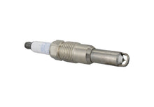 Load image into Gallery viewer, Ford Performance Parts 3V Cold Spark Plug Set (16mm Thread)