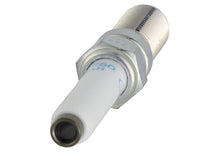 Load image into Gallery viewer, Ford Racing Performance 5.0L VDE Coyote Cold Spark Plug Set M-12405-50VDE