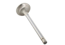 Load image into Gallery viewer, Ford Performance Parts Ford Racing Exhaust Valve 302/351W