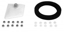 Load image into Gallery viewer, Aeromotive Fuel Pump Strainer Gasket