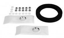 Load image into Gallery viewer, Aeromotive Fuel Pump Strainer Gasket