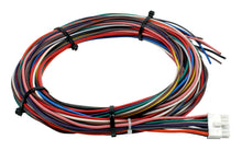 Load image into Gallery viewer, AEM Electronics Water Injection System Kit