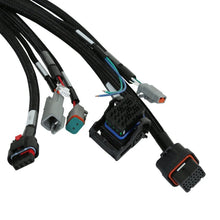 Load image into Gallery viewer, AEM VCU Universal LV Rear Harness