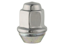 Load image into Gallery viewer, Ford Performance Parts Ford Racing Lug Nuts