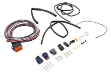 Load image into Gallery viewer, Twin Cam Ignition Harness