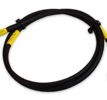 Load image into Gallery viewer, AEM Electronics CD-7/CD-7L Plug &amp; Play Adapter Harness For Holley EFI