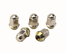 Load image into Gallery viewer, Ford Performance Parts Ford Racing Lug Nuts