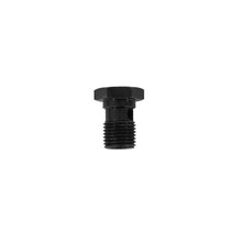 Load image into Gallery viewer, AEM Adjustable Fuel Pressure Regulator Banjo Bolt