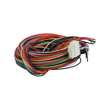 Load image into Gallery viewer, AEM Wiring Harness for V2 Controller w/ Multi Input
