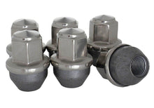 Load image into Gallery viewer, Ford Performance Parts Ford Racing 2015-2018 F-150 Lug Nut Kit