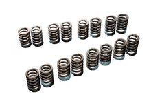 Load image into Gallery viewer, Tomei Valve Springs Set