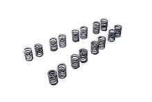 Load image into Gallery viewer, Tomei Valve Springs Set