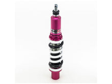 Load image into Gallery viewer, Godspeed Audi Q5/SQ5 Coilovers