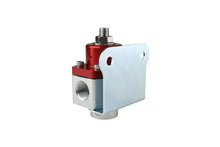 Load image into Gallery viewer, Aeromotive SS Adjustable, 3/8'' NPT Regulator
