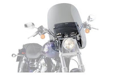Load image into Gallery viewer, WINDSHIELD SPARTAN 19