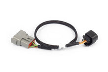 Load image into Gallery viewer, Haltech NEXUS Rebel LS 6-Pin DBW Adaptor