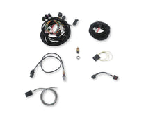 Load image into Gallery viewer, Holley EFI Terminator X Stealth 2x4 4500 Kit - Black