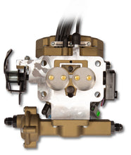 Load image into Gallery viewer, Holley Sniper EFI 2GC Small Bore - Classic Gold
