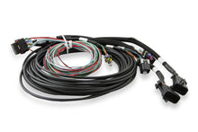 Load image into Gallery viewer, Holley EFI 12.3" Standalone Pro Dash