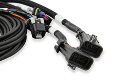 Load image into Gallery viewer, Holley EFI 6.86" Standalone Pro Dash