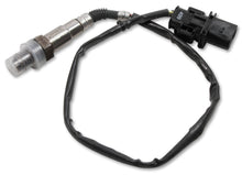 Load image into Gallery viewer, Holley EFI Oxygen Sensor