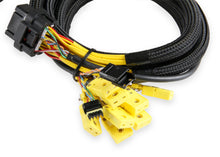Load image into Gallery viewer, Holley EFI 8 Channel CAN EGT Controller