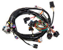 Load image into Gallery viewer, LS1/6 (24x/1x) Engine Main Harness