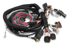 Load image into Gallery viewer, Gen III HEMI Main Harness , Late, w/TPS and Idle Air Control Connections