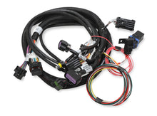 Load image into Gallery viewer, Terminator Stealth 2x4 MAIN HARNESS