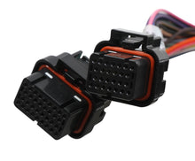 Load image into Gallery viewer, Terminator Stealth 2x4 MAIN HARNESS