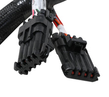 Load image into Gallery viewer, Terminator Stealth 2x4 MAIN HARNESS