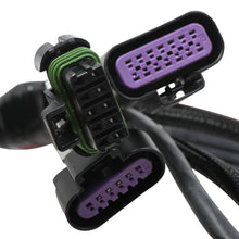 Load image into Gallery viewer, Terminator Stealth 2x4 MAIN HARNESS