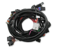 Load image into Gallery viewer, Holley EFI Ford Coyote Ti-VCT Main Harness for Holley EFI HP smart coils (2011-2017)