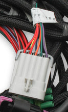 Load image into Gallery viewer, Holley EFI Ford Coyote Ti-VCT Main Harness for Holley EFI HP smart coils (2011-2017)