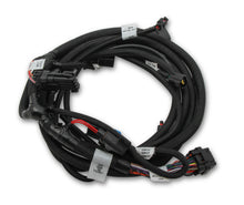 Load image into Gallery viewer, Holley EFI Ford Coyote Ti-VCT Sub Harness (2011-2012)