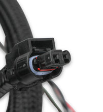 Load image into Gallery viewer, Holley EFI Ford Coyote Ti-VCT Sub Harness (2011-2012)