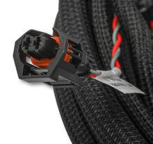 Load image into Gallery viewer, Holley EFI Ford Coyote Ti-VCT Sub Harness (2013-2017)