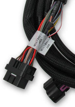 Load image into Gallery viewer, Holley EFI Ford Coyote Ti-VCT Sub Harness (2013-2017)