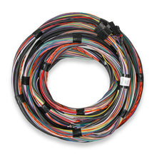 Load image into Gallery viewer, Unterminated 15' Flying Lead Main Harness