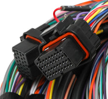 Load image into Gallery viewer, Unterminated 15' Flying Lead Main Harness
