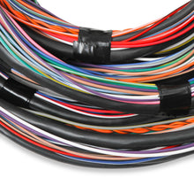 Load image into Gallery viewer, Unterminated 15' Flying Lead Main Harness