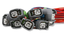 Load image into Gallery viewer, Holley EFI EV6 Unterminated Injector Harness Kit